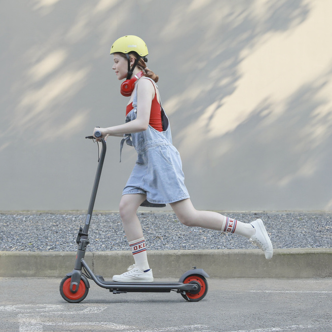 E-Kickscooter Ninebot by Segway C2 E