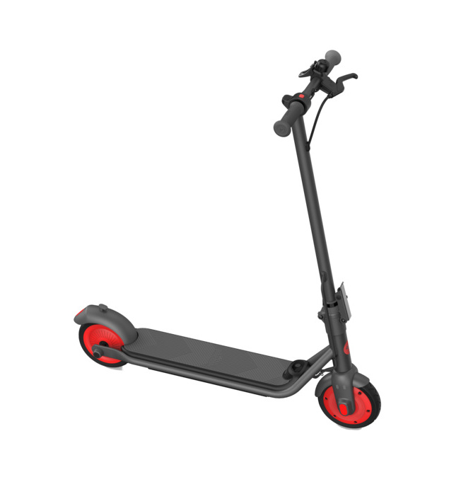 E-Kickscooter Zing C20 by Segway